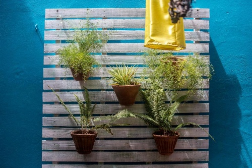 Hostel Ibiza image 17